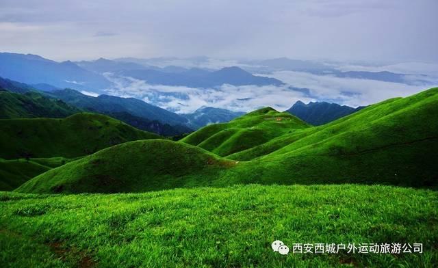 孕妇不能吃什么水果_最佳问答类网站